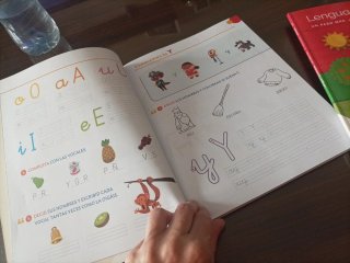 Lengua castellana, 1 Primaria un paso más : pauta