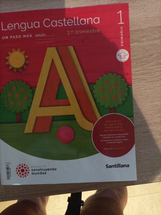 Lengua castellana, 1 Primaria un paso más : pauta