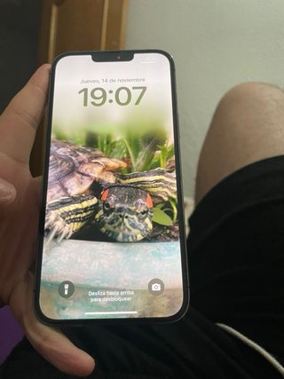 iPhone 13 Pro Max 256GB Gris Espacial