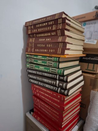 Gran lote libros y más