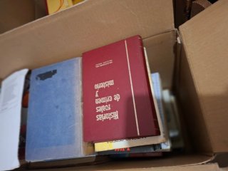 Gran lote libros y más