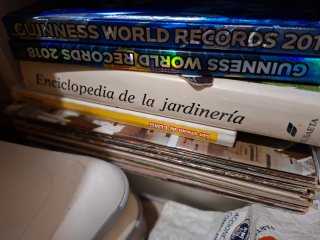 Gran lote libros y más