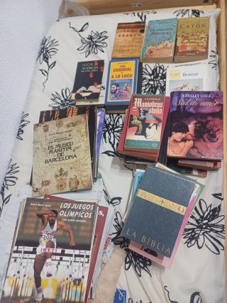 Gran lote libros y más