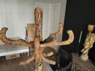 Perchero árbol personalizado