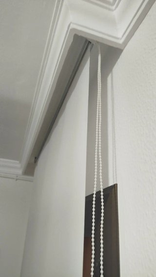 Estor enrollable para ventana