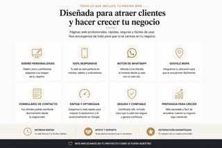 Diseño de páginas web para negocios | Web profesio