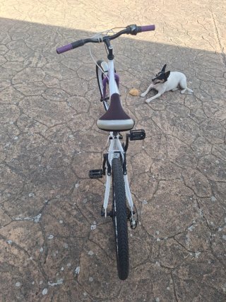 Bicicleta niña 24 DTB