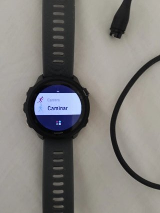 Reloj Garmin Forerunner 245 Gris