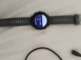 Reloj Garmin Forerunner 245 Gris
