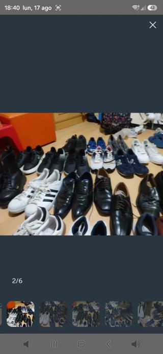 Lote 42 Zapatos Negro y Marrón