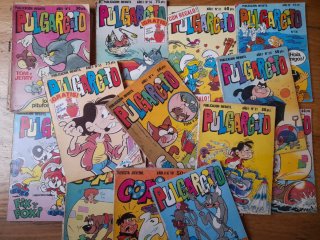 Lote comics pulgarcito
