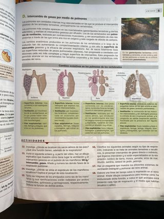 Libro Biología, Geología y Ciencias Ambientales 1º