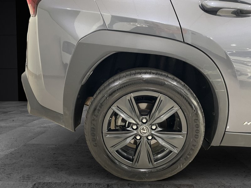 Lexus UX 250h BUSINESS 2022, foto 12