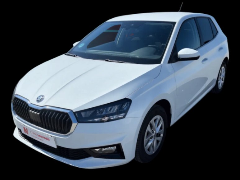 Skoda Fabia - DESDE 203€/MES ¡SIN ENTRADA! - foto 1
