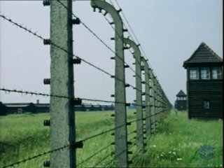 Seconda Guerra Mondiale Cofanetto 10 DVD