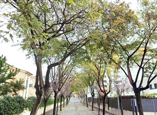 Piso en venta en Sotolivar - Mas del Rosari en Paterna