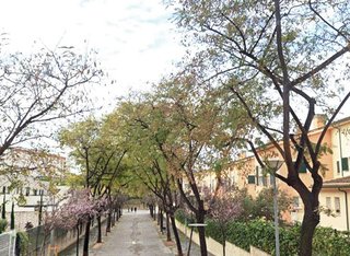 Piso en venta en Sotolivar - Mas del Rosari en Paterna