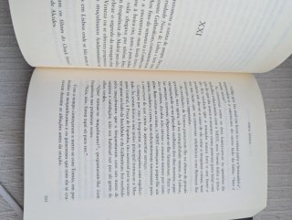 Fúria divina romance