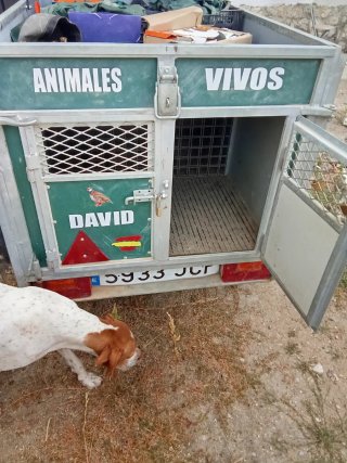 Remolque animales vivos