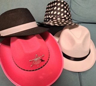 Lote de 4 Sombreros Divertidos
