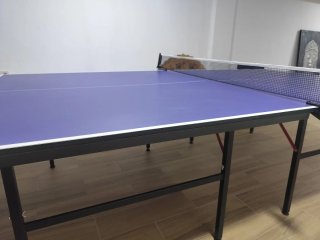 Mesa Ping Pong Artengo FT 720 I Plegable