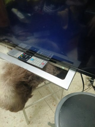 TV Toshiba 55 Smart TV leer