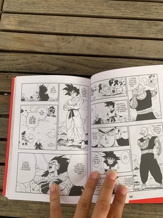 Bola de Drac manga llibre 5 i 14.