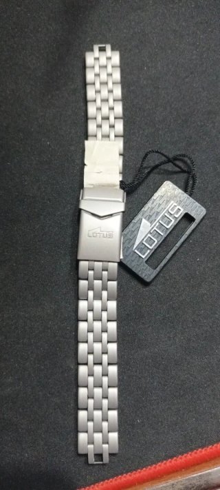 Correa de reloj Lotus plateada