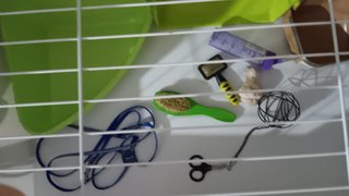 Jaula para conejo enano y accesorios