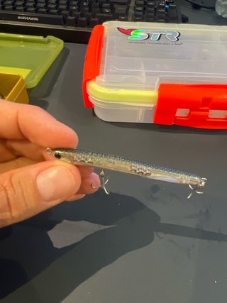 Señuelo de pesca Feel 75 de Reed