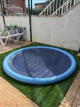 Piscina hinchable para perros