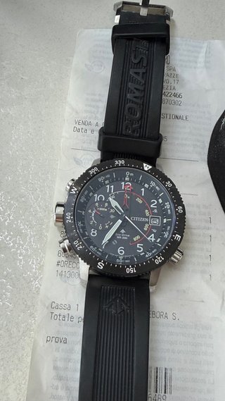 Citizen Eco-Drive WR200  PROMASTER