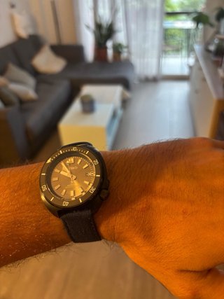 Seiko Mod Captain Willard