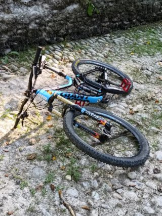 Bicicleta Giant Reign