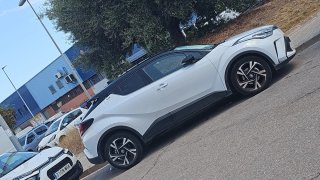 Toyota C-HR 2022