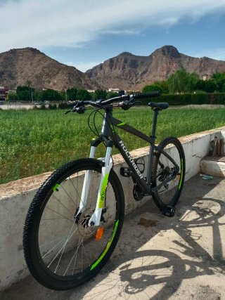Lote de 3 bicicletas