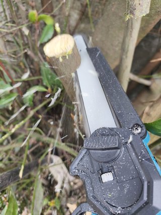 Atornilladora Llave Impacto + Motosierra 8"