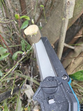 Atornilladora Llave Impacto + Motosierra 8"