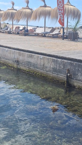 Amarre hasta fin de verano