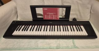 Teclado Yamaha Piaggero NP-12