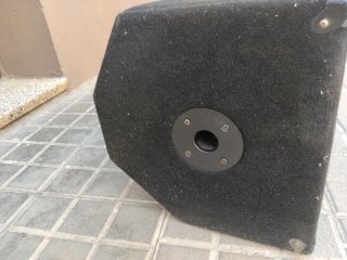 Monitor de música SM150MKII