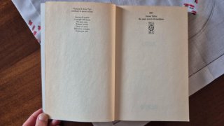 Se mai verrà il mattino - Anne Tyler, Edizione TEA