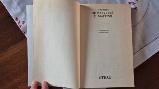 Se mai verrà il mattino - Anne Tyler, Edizione TEA