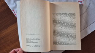 Se mai verrà il mattino - Anne Tyler, Edizione TEA