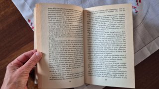 Se mai verrà il mattino - Anne Tyler, Edizione TEA