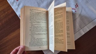 Se mai verrà il mattino - Anne Tyler, Edizione TEA