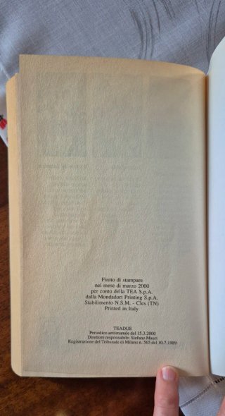 Se mai verrà il mattino - Anne Tyler, Edizione TEA