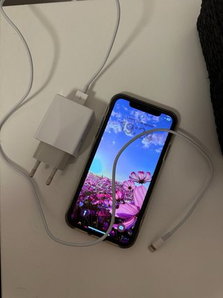 iPhone 11 Lila 64GB