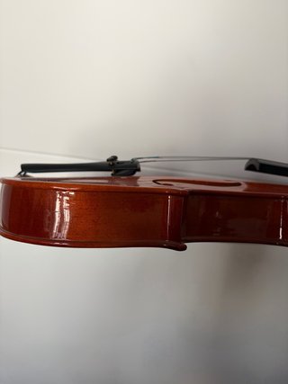 Violín adulto 4/4 con estuche