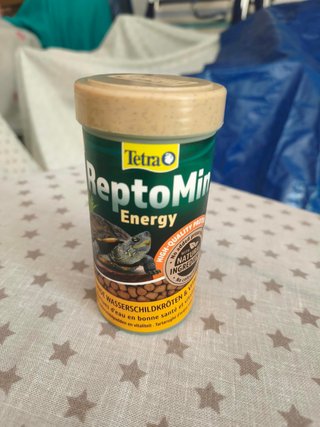 Acuario para tortugas